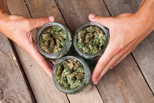 three jars of weed